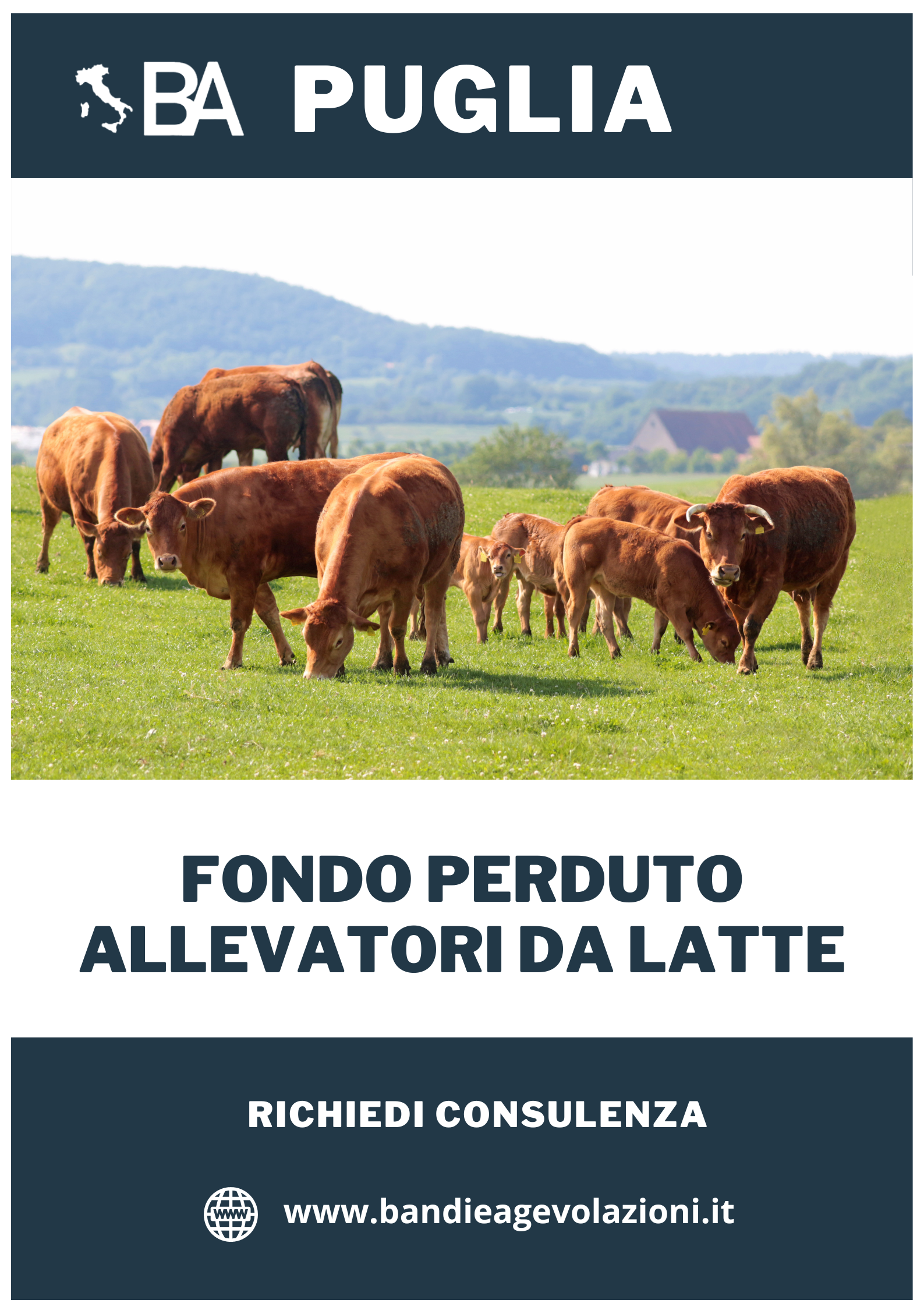 Fondo Perduto Agricoltura Puglia