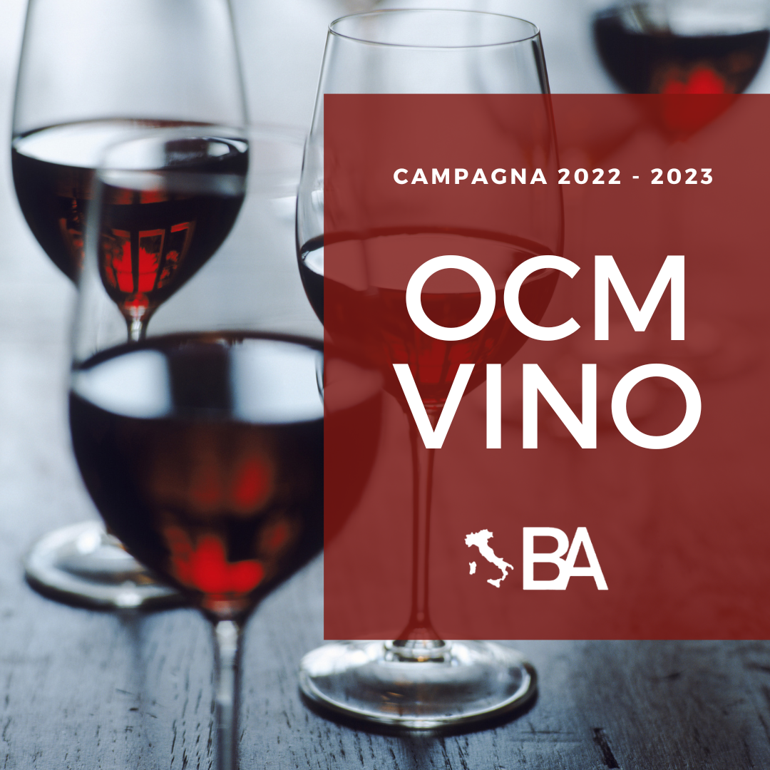 OCM Vino Campagna 2022 2023